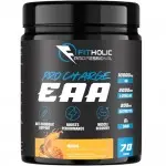 Fitholic Pro Charge EAA 1120 грFH0121