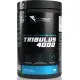 Fitholic 4000 Tribulus Terrestris Extract 100 таблетки